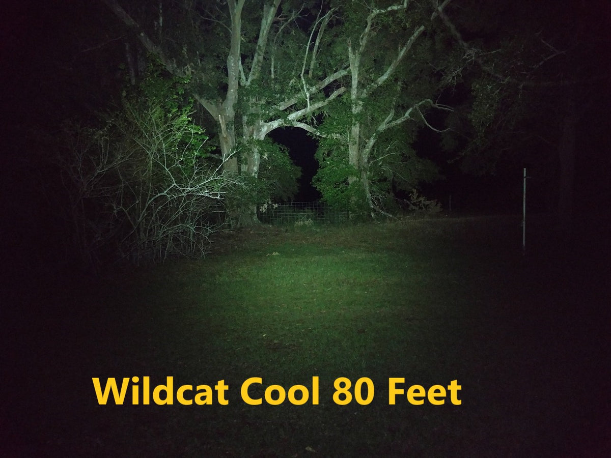 Wildcat 18650 Head