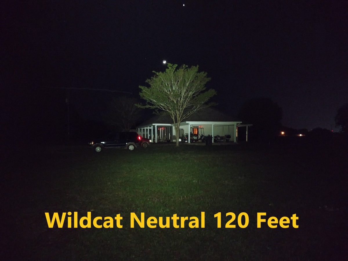 Wildcat 18650 Head