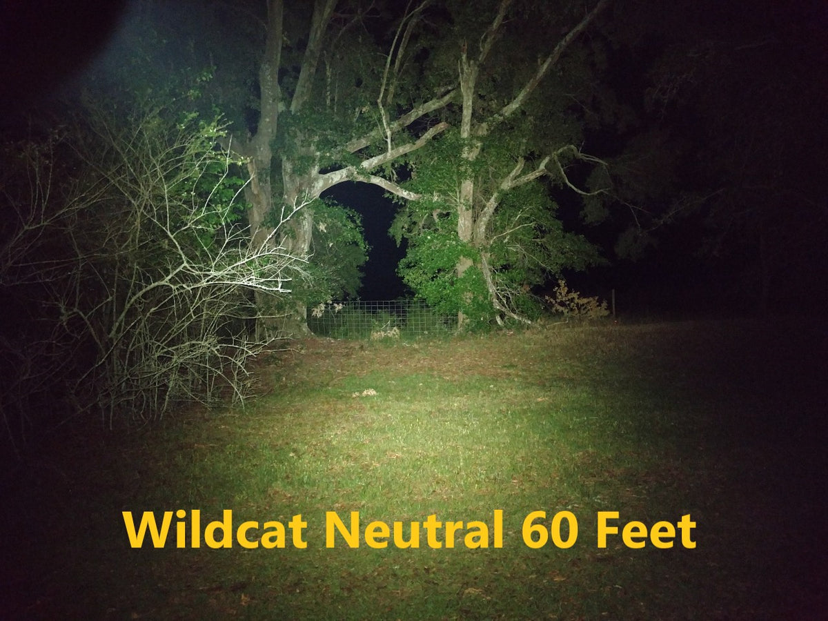 Wildcat 18650 Head